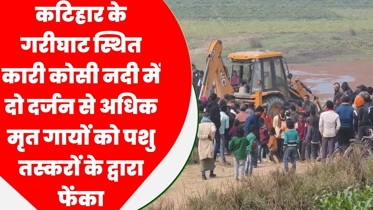 कटिहार के गरीघाट स्थित कारी कोसी नदी में दो दर्जन से अधिक मृत गायों को पशु तस्करों के द्वारा फेंका, ग्रामीणों में आक्रोश व्याप्त