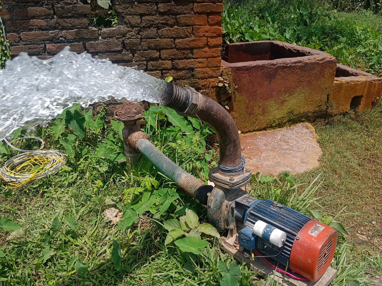 खेती किसानी में बिजली बन रहा वरदान