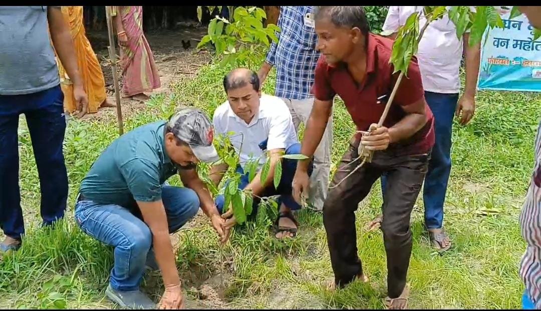 पर्यावरण बचाने को लेकर मनरेगा के तहत वन महोत्सव कार्यक्रम चलाकर सभी पंचायतों में किया गया पौधारोपण