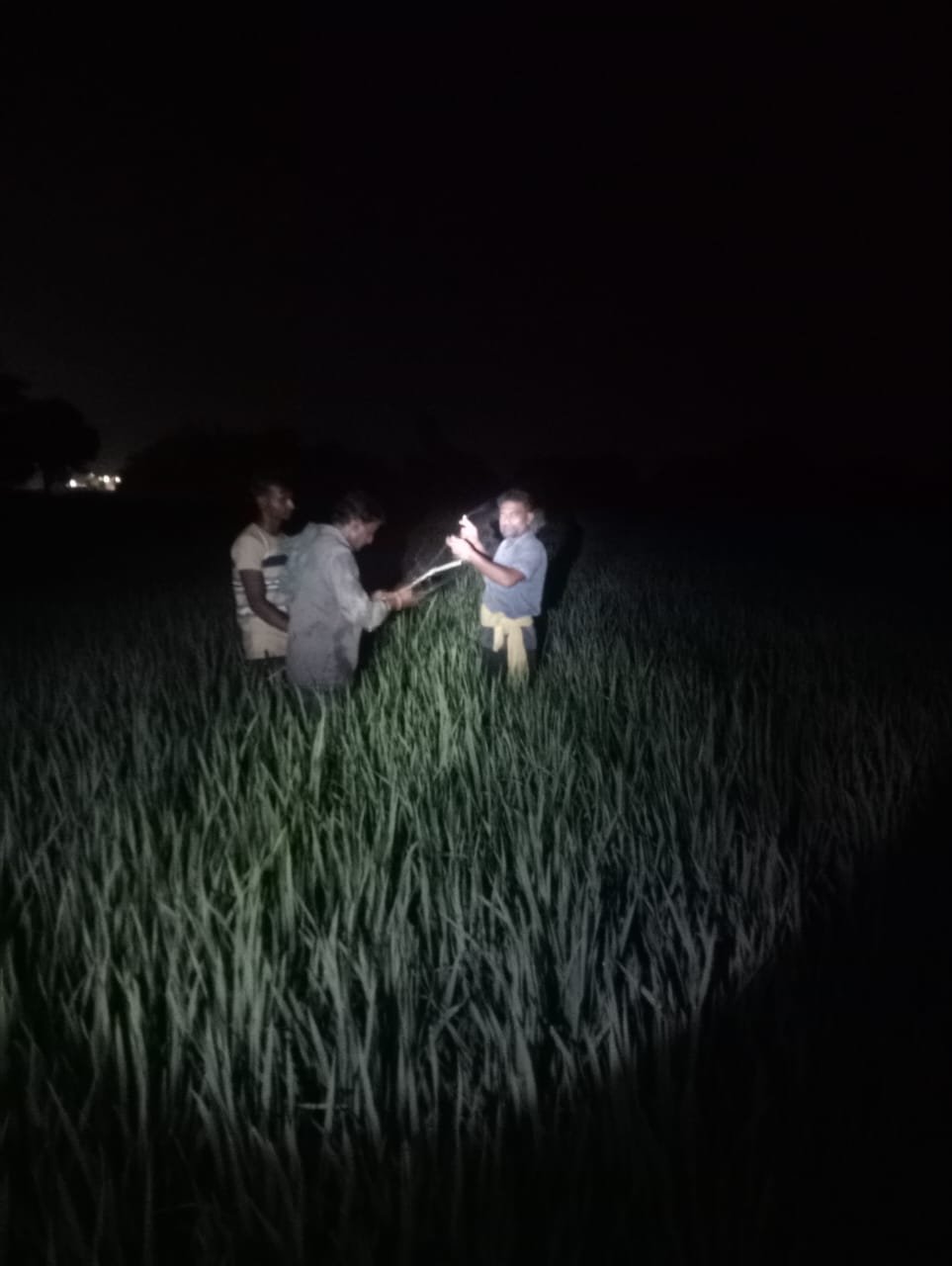 उमस भरी गर्मी मे बिजली की आंख मिचौली से उपभोक्ता परेशान