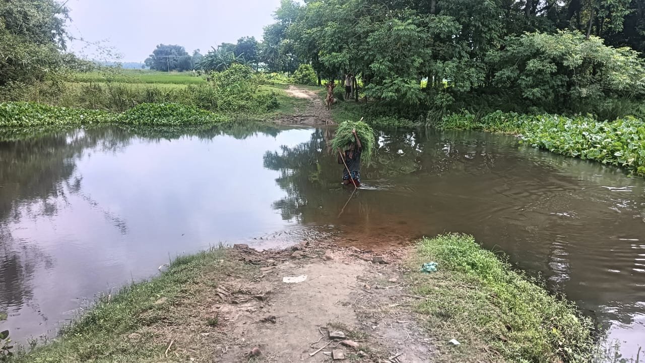 पुल नही होने से कमला धार पार कर जाते लोग––ग्रामीणों ने पुल निर्माण करने की मांग