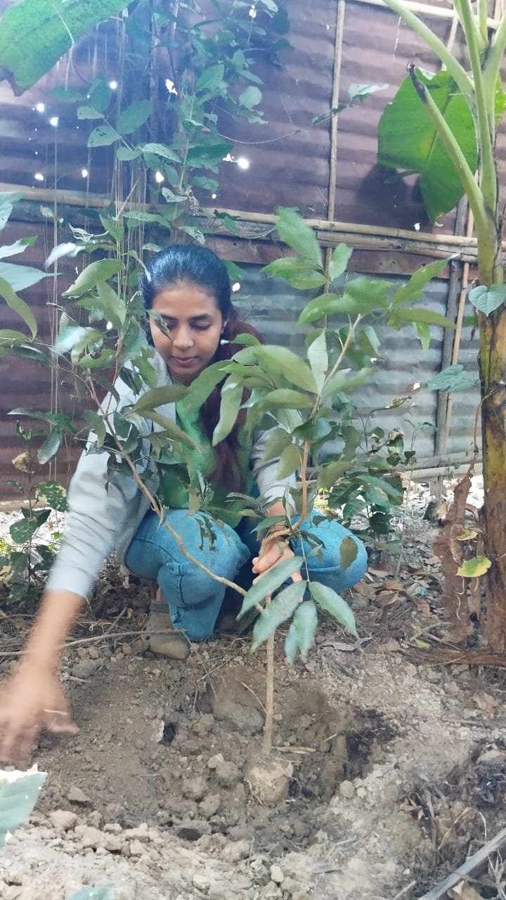 पौधारोपण कर मनाया एलएलबी की छात्रा अपना जन्मदिन