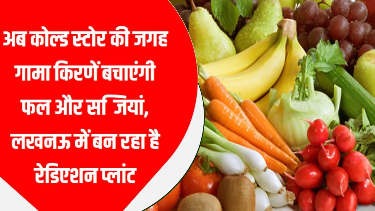 अब कोल्ड स्टोर की जगह गामा किरणें बचाएंगी फल और सब्जियां, लखनऊ में बन रहा है रेडिएशन प्लांट