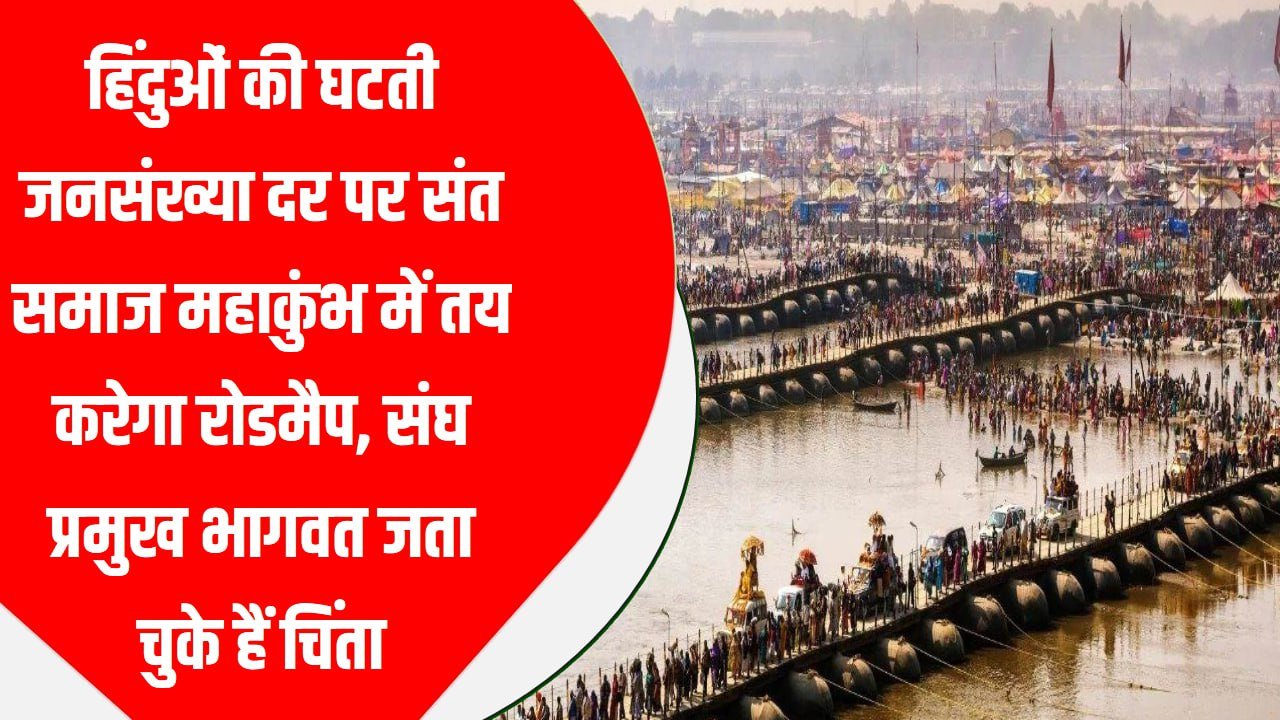 हिंदुओं की घटती जनसंख्या दर पर संत समाज महाकुंभ में तय करेगा रोडमैप, संघ प्रमुख भागवत जता चुके हैं चिंता
