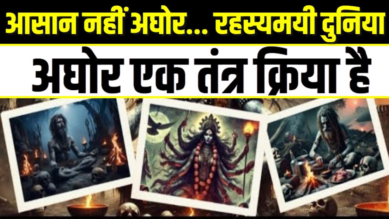 महाकुंभ 2025 : आसान नहीं अघोर… रहस्यमयी दुनिया, कई सारे सवाल और साधना से सम्मान की आस