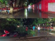 कटिहार रेल मंडल में हल्की बारिश से जलजमाव, पेड़ गिरने से रास्ता बंद, प्लेटफॉर्म पर पानी टपकता रहा