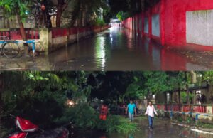 कटिहार रेल मंडल में हल्की बारिश से जलजमाव, पेड़ गिरने से रास्ता बंद, प्लेटफॉर्म पर पानी टपकता रहा