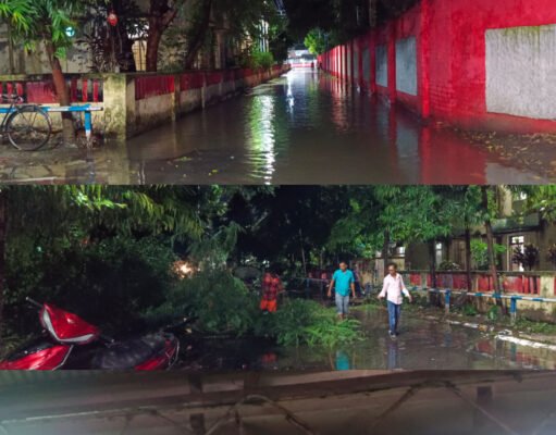 कटिहार रेल मंडल में हल्की बारिश से जलजमाव, पेड़ गिरने से रास्ता बंद, प्लेटफॉर्म पर पानी टपकता रहा
