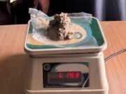 सीमांचल बना ड्रग्स कारोबारी का सेफ जोन नेपाल सीमा में प्रवेश के साथ लगातार भारतीय ड्रग्स कारोबारी की गिरफ्तारी