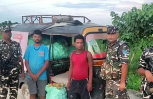 नेपाल से तस्करी कर लाए जा रही थी नाशपाती एसएसबी ने किया जब्त