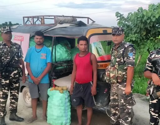 नेपाल से तस्करी कर लाए जा रही थी नाशपाती एसएसबी ने किया जब्त