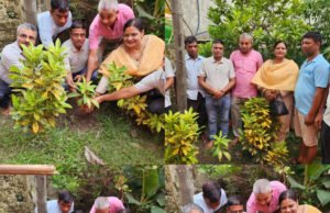 प्रकृति संस्कृति संरक्षण अभियान के अंतर्गत शिवालय परिसर में लगाया गया शिवलिंग का पौधा।