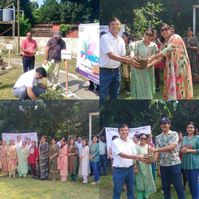 InShot_20250924_190447193