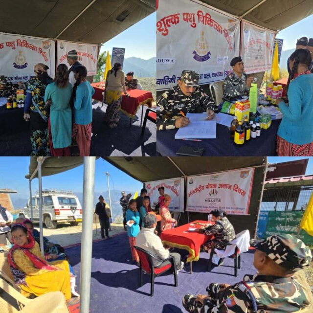 InShot_20251116_221347536