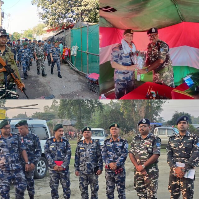 InShot_20251117_194707215