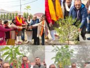 देव वृक्ष रोपण अभियान” के अंतर्गत वृक्षमानव सुरेश शर्मा के द्वारा किया गया पौधारोपण
