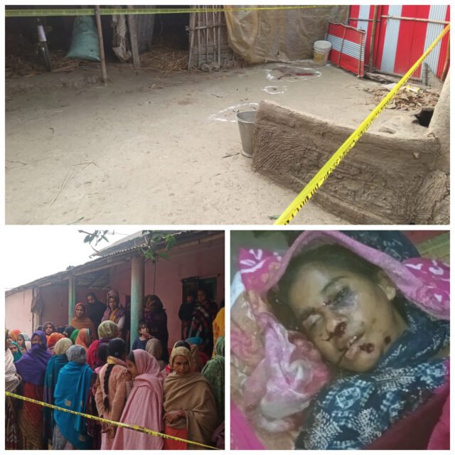 InShot_20260121_142043079